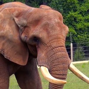 Meet your Posher, Charlene